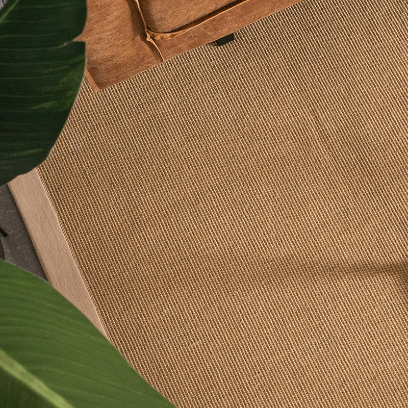 Sisal Rug - Tulum Border Beige