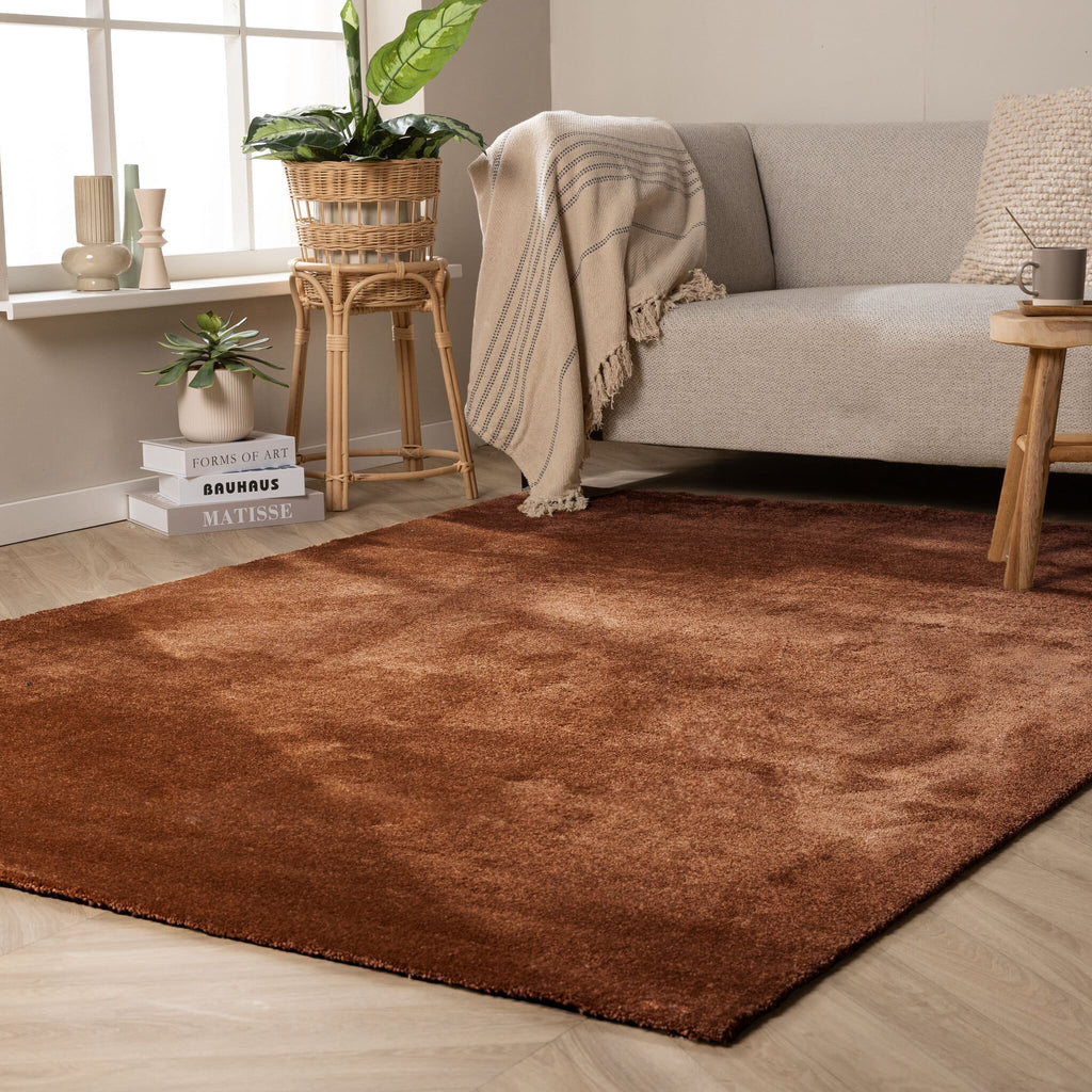 Washable rug - Clean Rust