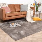 Washable Viscose Rug - Vive Taupe