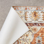Vintage Outdoor Rug - Santo Medallion Terra