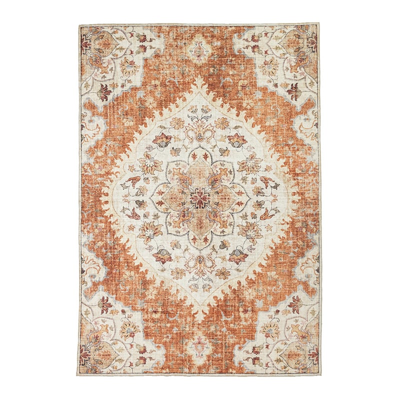 Vintage Outdoor Rug - Santo Mandala Terra