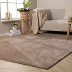 Washable Rug – Clean Brown