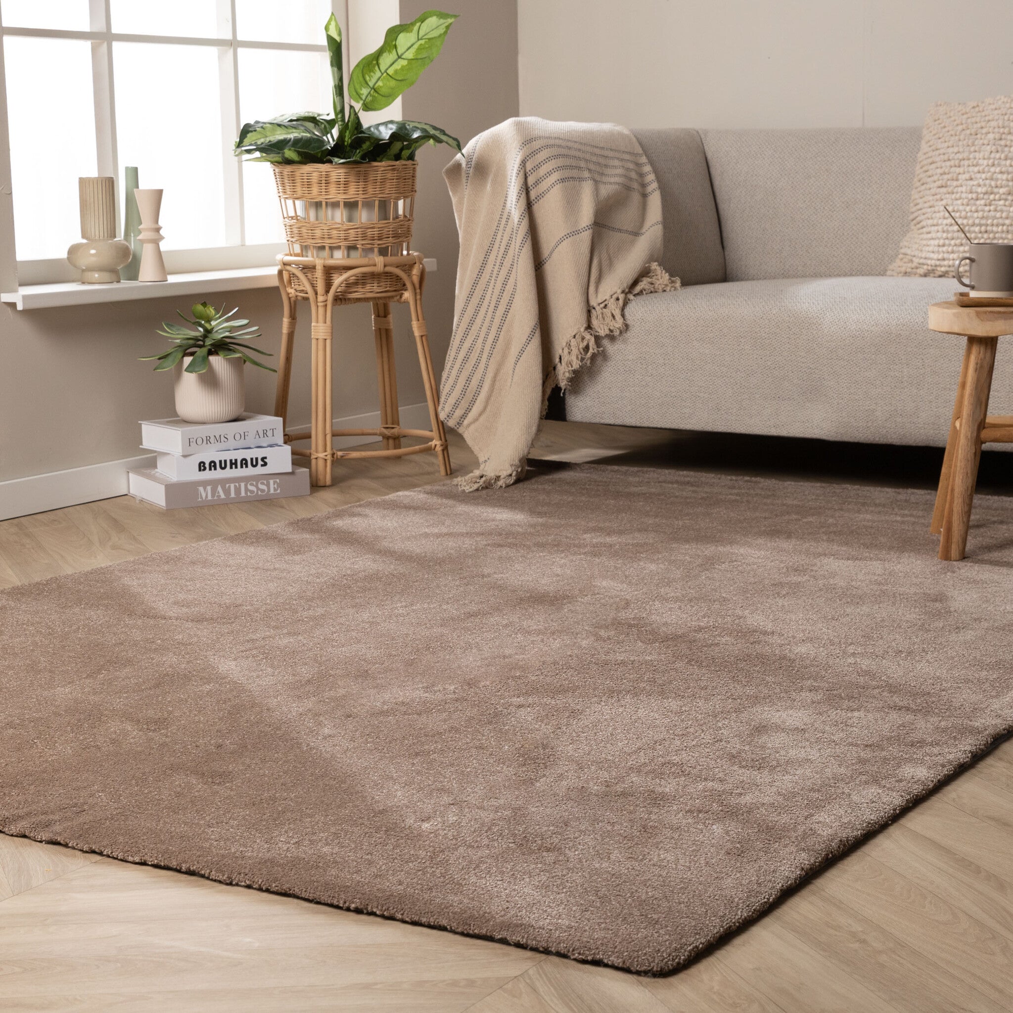 Washable Rug – Clean Brown