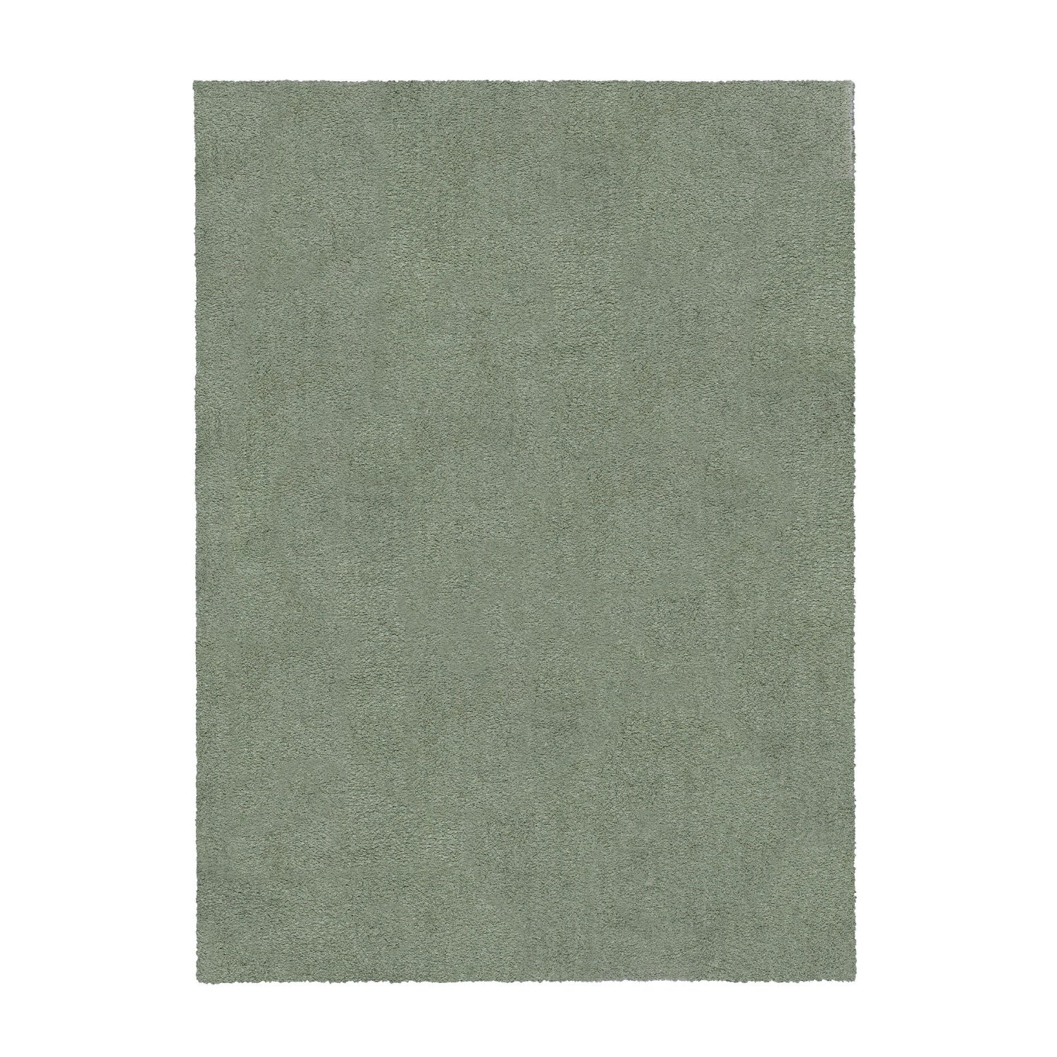 Shaggy Floor Rug - Farenzo Mint Green