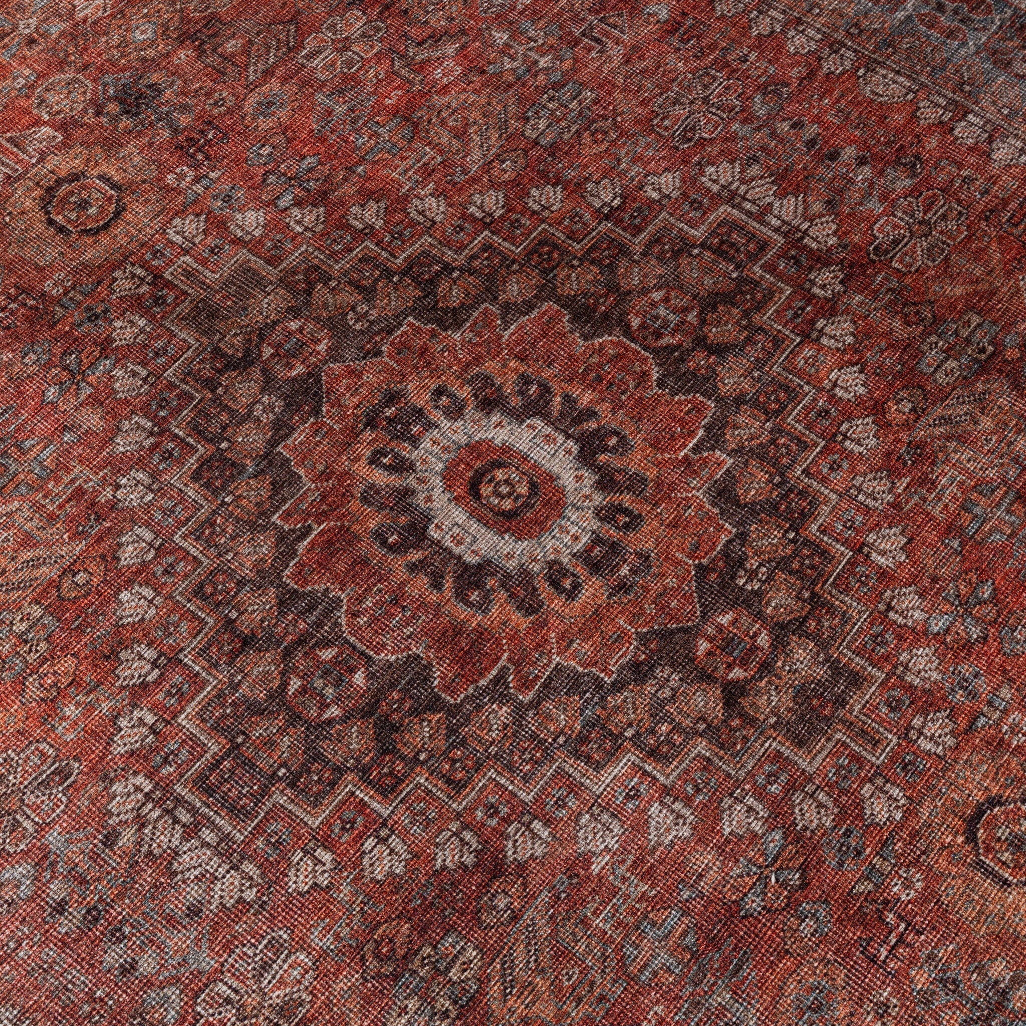 Oriental Rug – Liva Medallion Terra