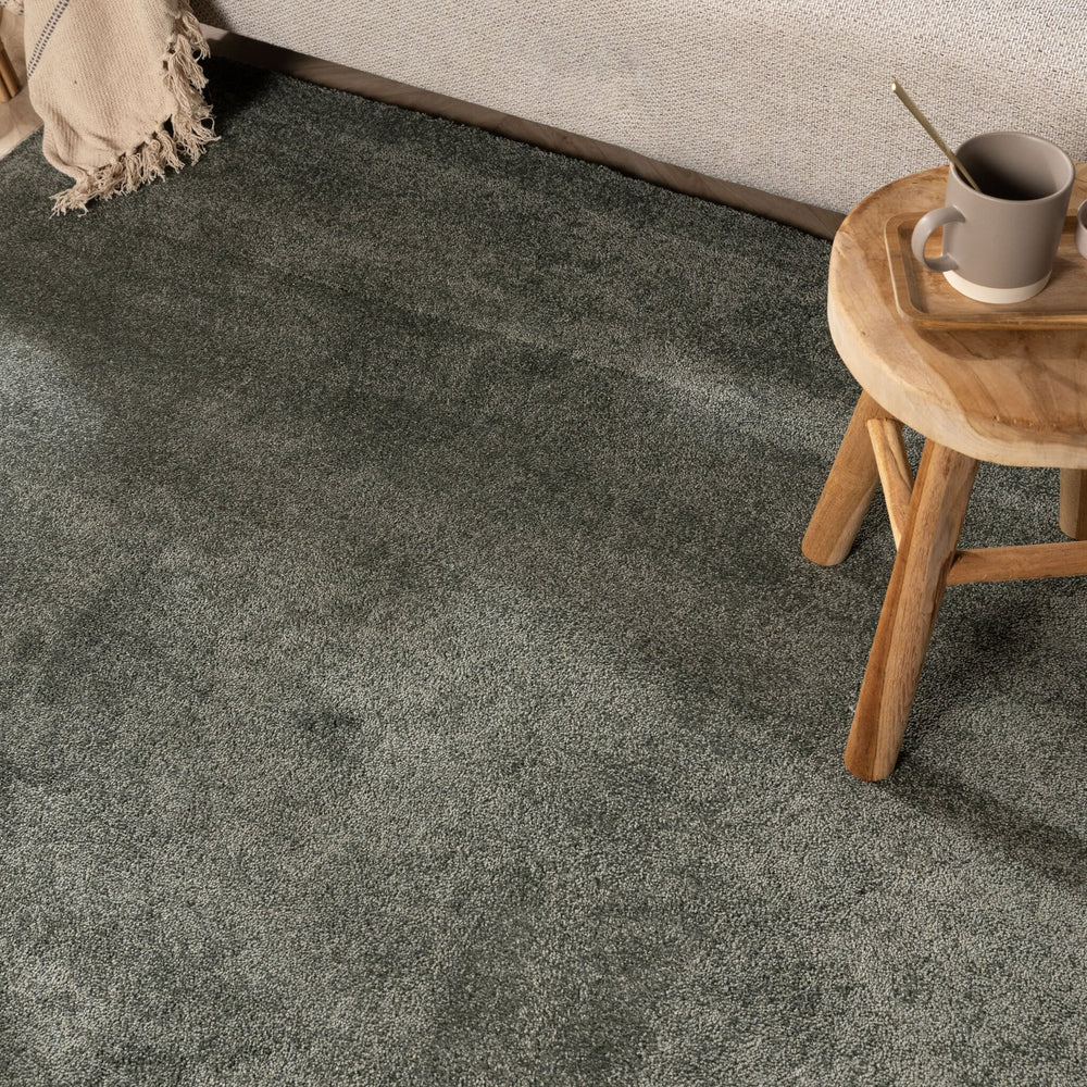 Washable Rug - Clean Green