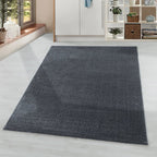 Low-pile floor rug - Smoothly Anthracite