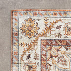 Vintage Outdoor Rug - Santo Medallion Terra
