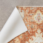 Vintage Outdoor Rug - Santo Mandala Terra