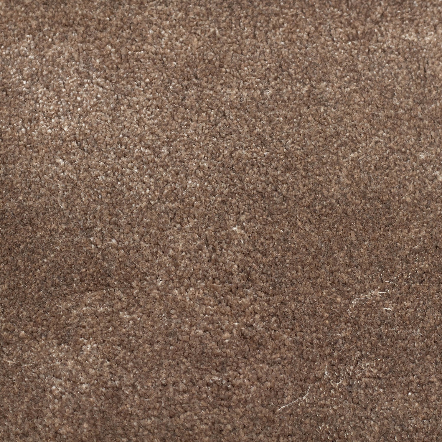 Floor Rug Custom-Made - Orvieto Taupe 602
