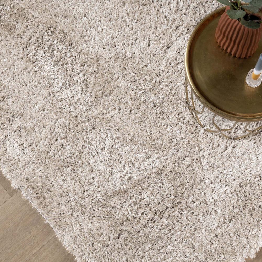Shaggy Rug - Blaze Beige/Grey
