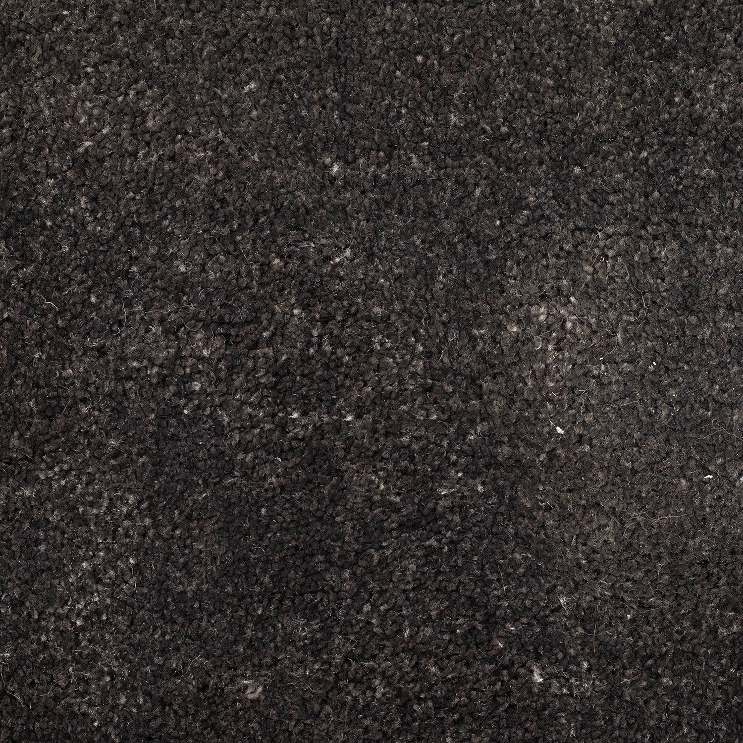 Floor Rug Custom-Made - Orvieto Black 691