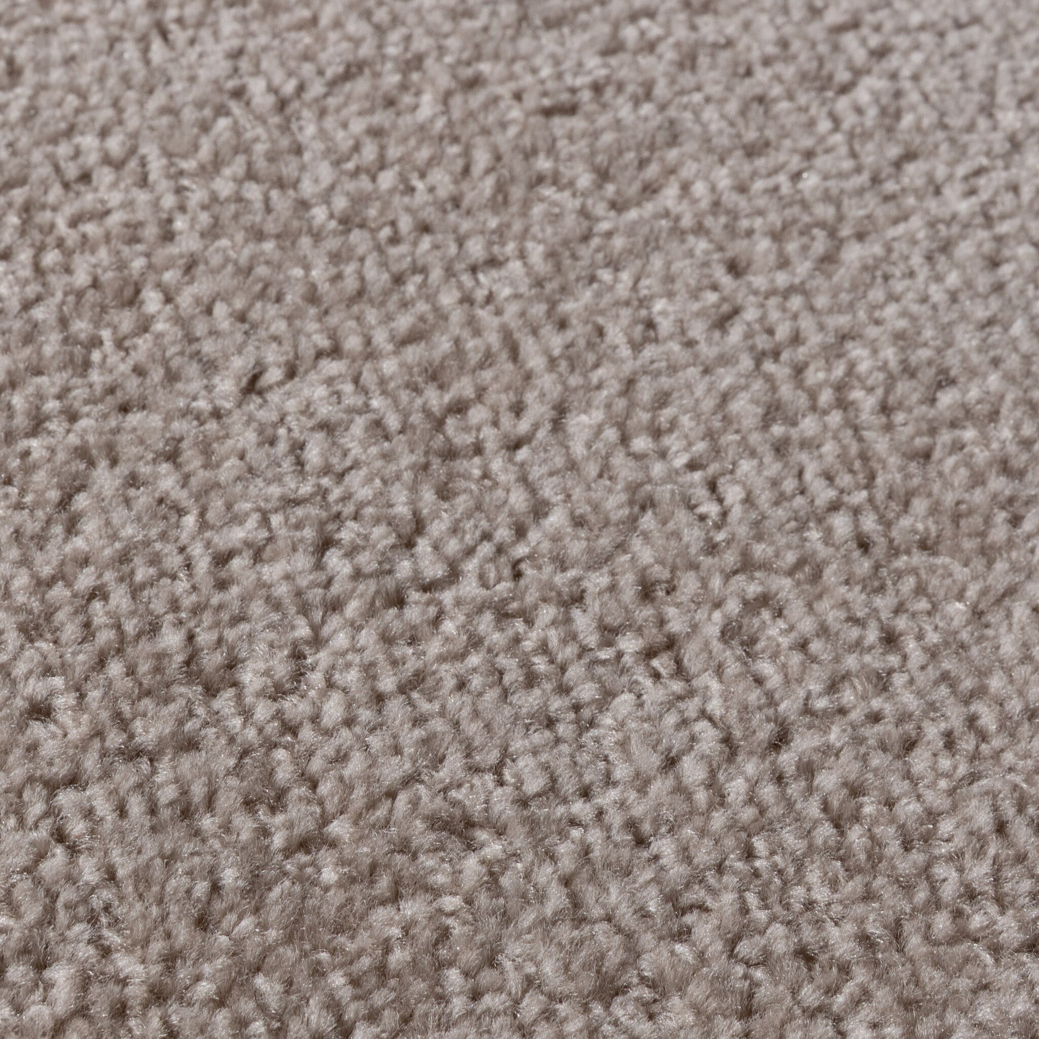 Low pile rug - Essenza Greige