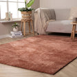 Washable Rug - Clean Terracotta