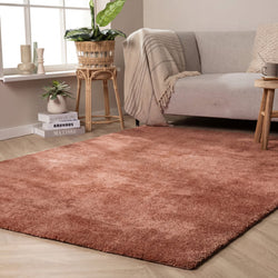 Washable Rug - Clean Terracotta