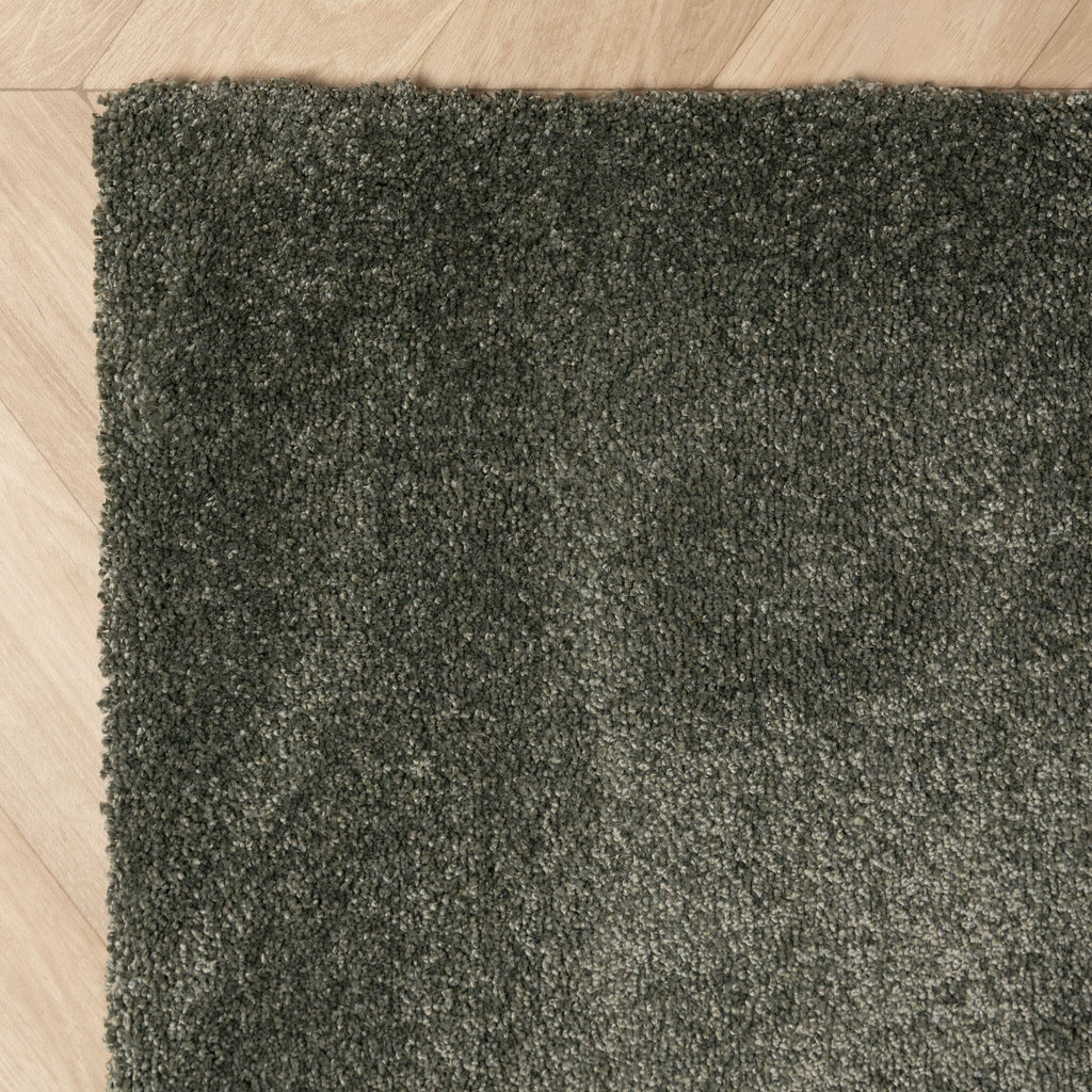 Washable Rug - Clean Green