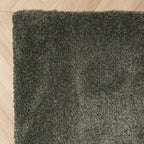 Washable Rug - Clean Green