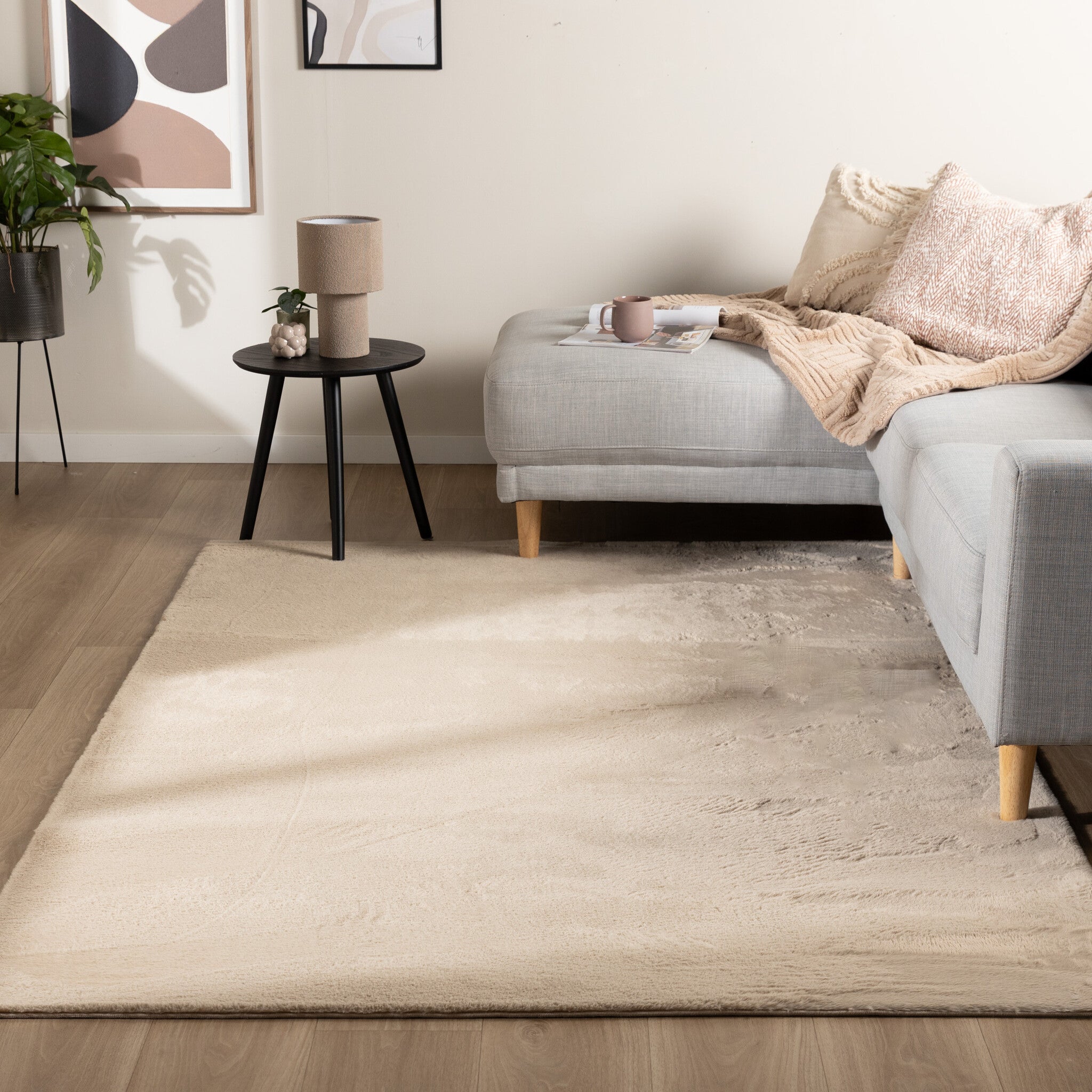 Soft Low-Pile Rug – Cozy Beige