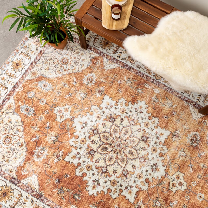 Vintage Outdoor Rug - Santo Medallion Terra