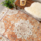 Vintage Outdoor Rug - Santo Medallion Terra