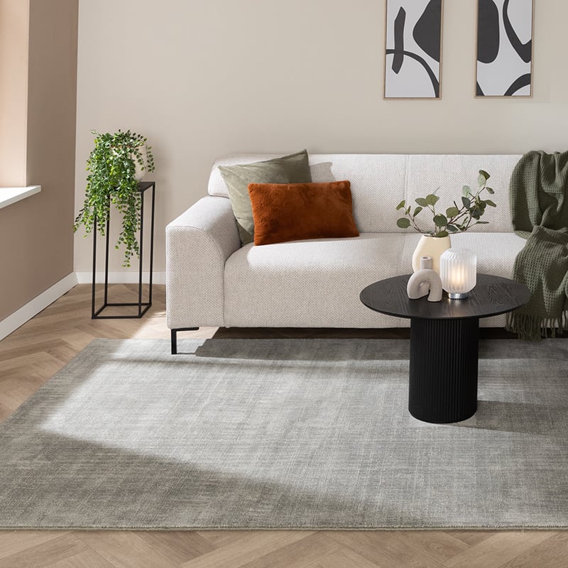 Viscose Rug - Jean Mint Green