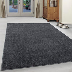 Low Pile Floor Rug - Asa Grey