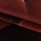 Modern Rug - Streaky Lines Red