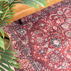 Vintage Rug - Imagine Medallion Red