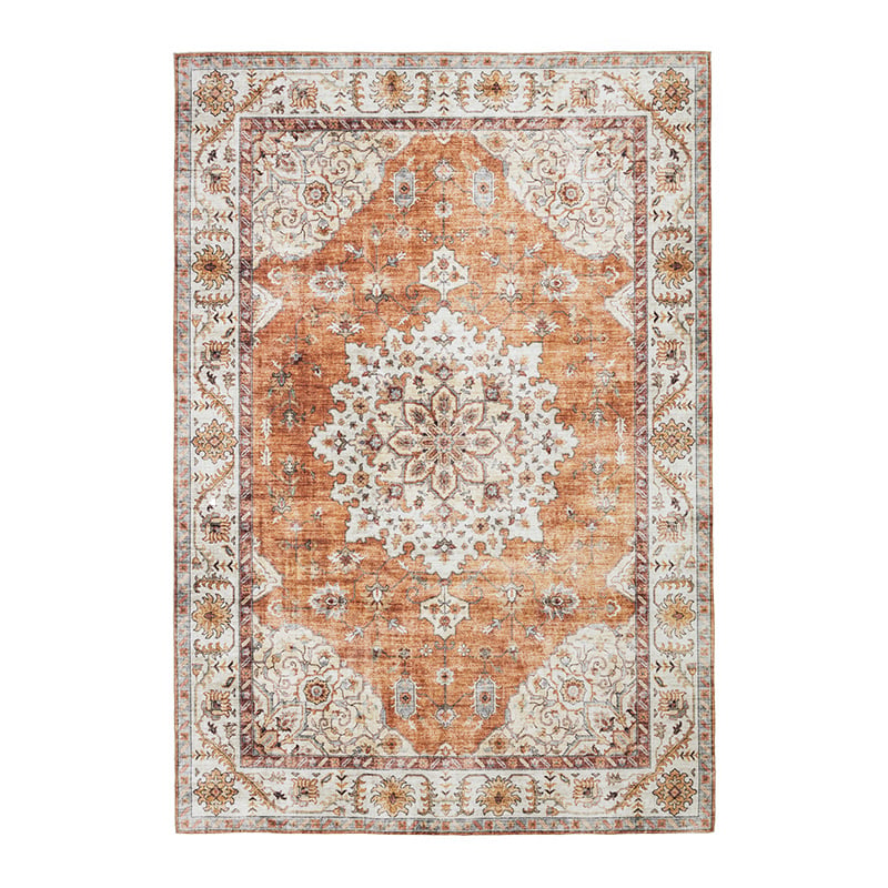 Vintage Outdoor Rug - Santo Medallion Terra