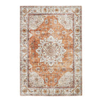 Vintage Outdoor Rug - Santo Medallion Terra