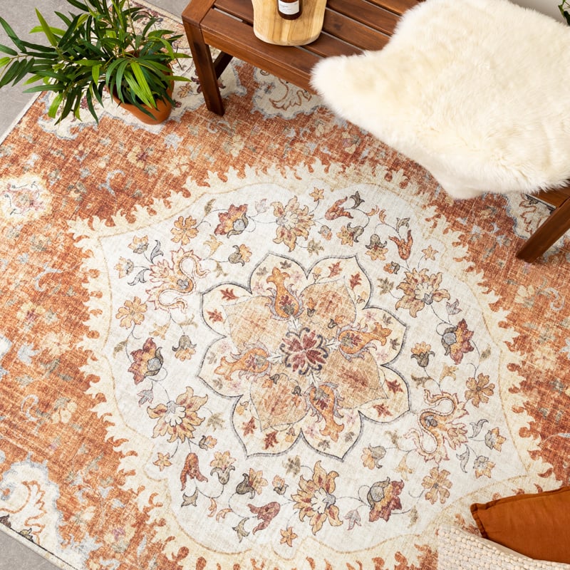 Vintage Outdoor Rug - Santo Mandala Terra