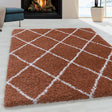 Berber Rug - Agadir Lines Terra/Cream