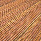 Outdoor Rug - Torres Orange/Blended