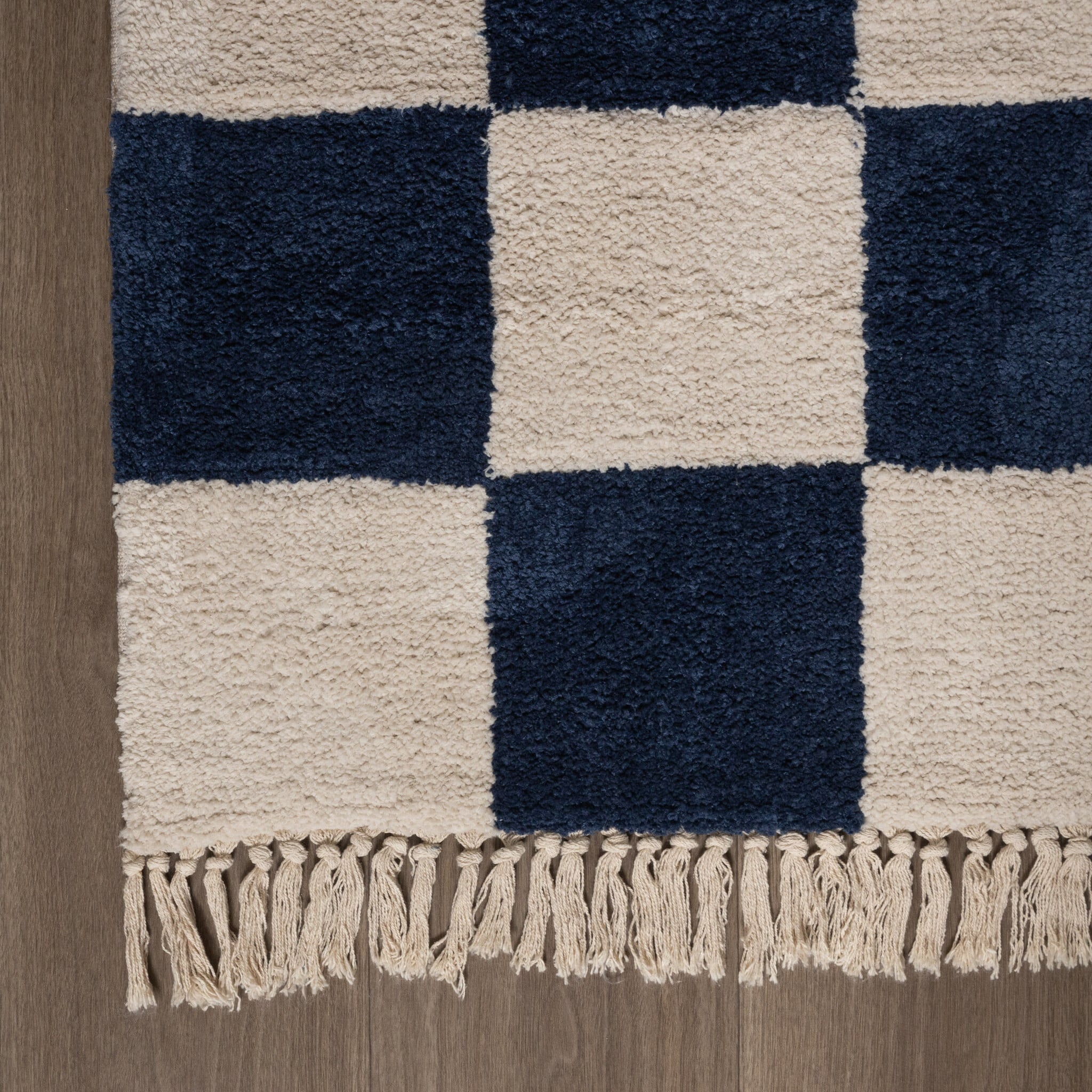 Checkerboard Rug - Blox Fringe Blue