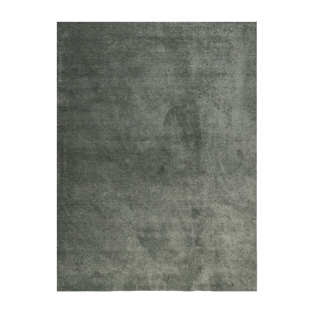 Washable Rug - Clean Green