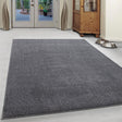 Low-pile floor rug - Asa Light Grey