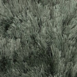 Modern floor rug - Arezzo ST 421