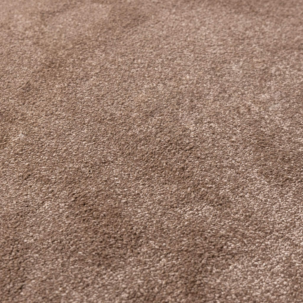 Washable Rug – Clean Brown
