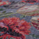 Round floral floor rug - Fleur Grey