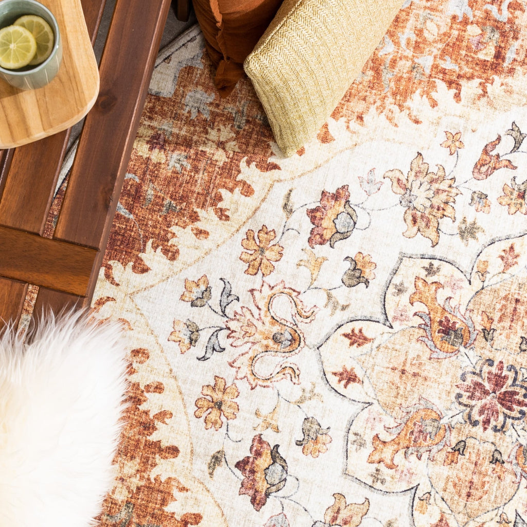 Round Vintage Outdoor Rug - Santo Mandala Terra