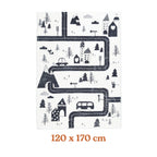 Kids Car Rug - Dex Trail Black