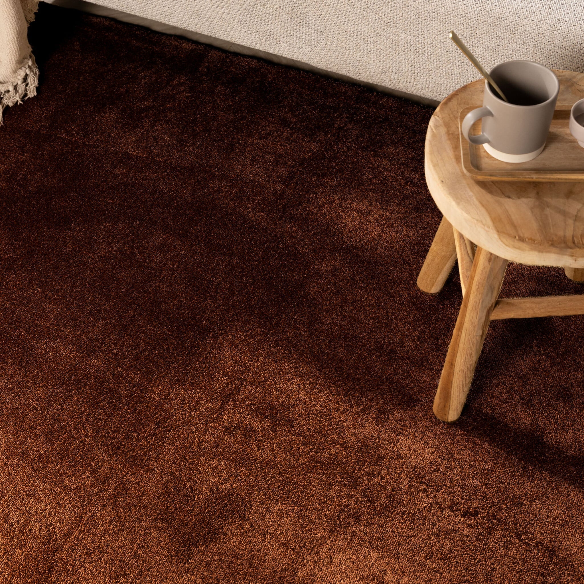 Washable rug - Clean Rust